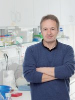 Chairman: Prof. Dr. Michael Ehrmann